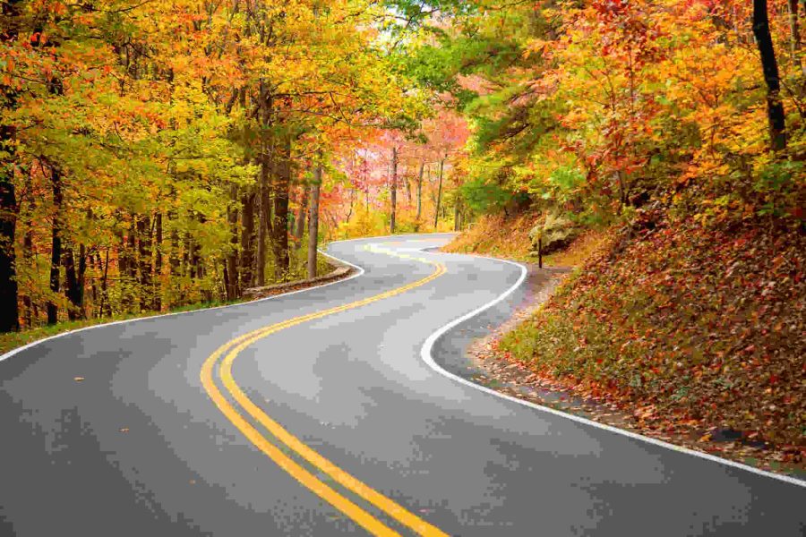 Winding-road-in-fall