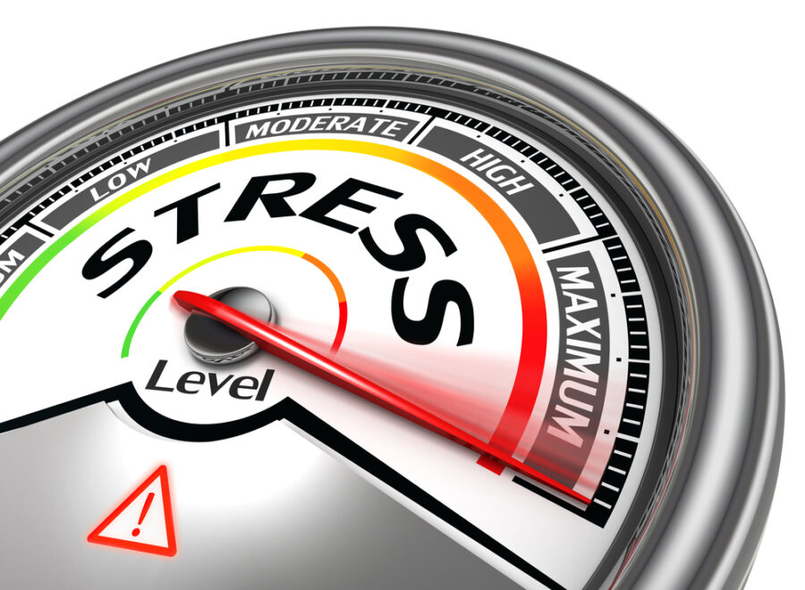 Stress meter showing maximum stress