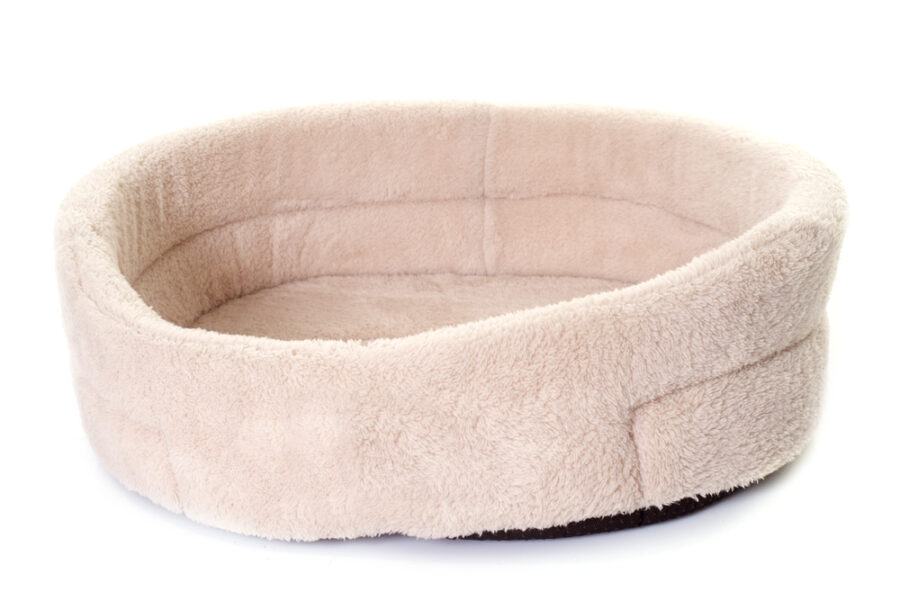 Pink pet bed on white background