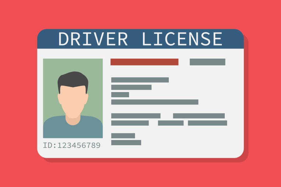 Icon driver's license , identity card, personal data. Vector illustration flat design