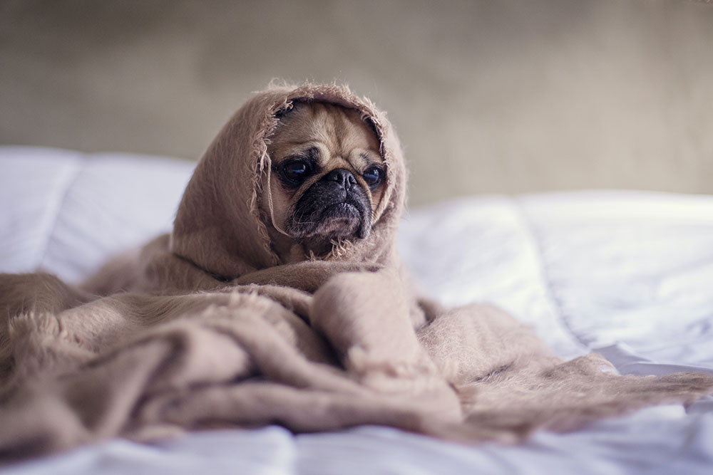 Best Sleeping Practices for Truckers Pt. 3 – Sleep Apnea