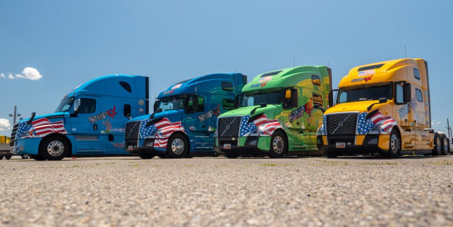 Colorful trucks with military wraps parked in a row