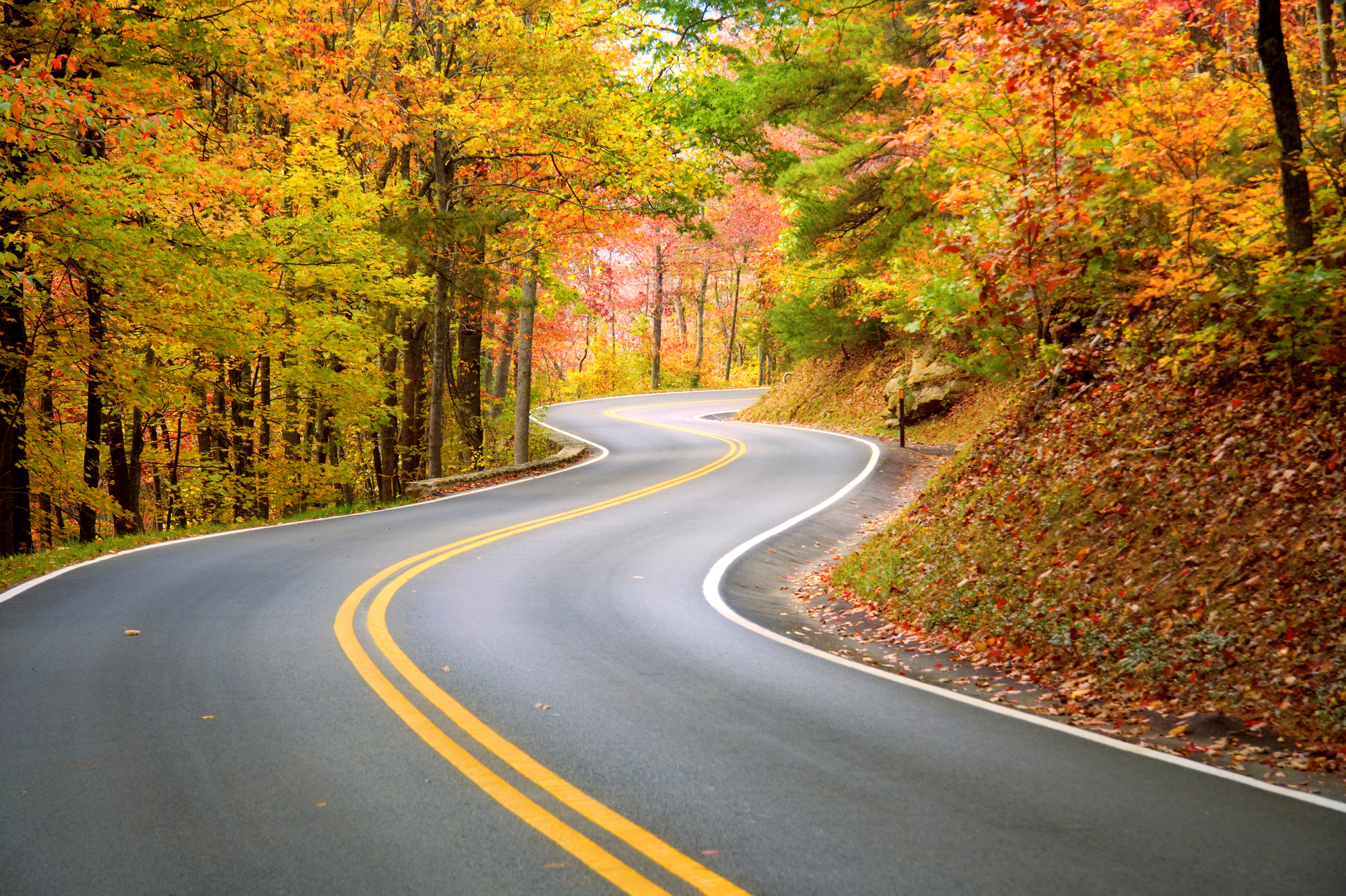 10 Most Scenic Roads in America